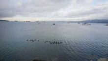 Kitsilano Beach 8