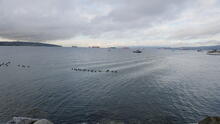Kitsilano Beach 11
