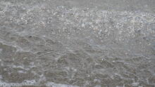 Kitsilano Beach 27