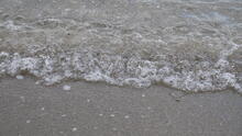 Kitsilano Beach 28