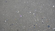 Kitsilano Beach 37