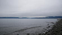Tower Beach 15