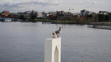 Vancouver Harbour 54