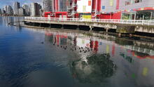 False Creek 88