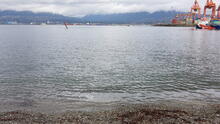 Portside Park 43