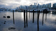 Stanley Park 14