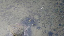 Stanley Park 34