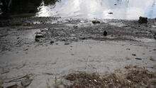 Stanley Park 38