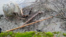 Stanley Park 44