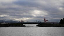 Stanley Park 48