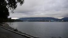 Stanley Park 101