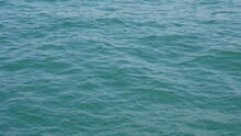 Victoria Harbour 19