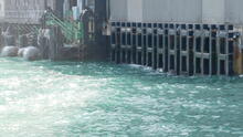 Victoria Harbour 55