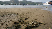 Lamma Island 6