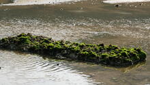Lamma Island 12