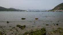 Lamma Island 41