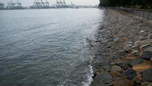 Labrador Park 5