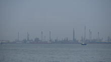 Labrador Park 10