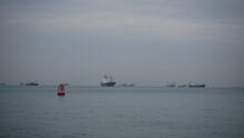 Labrador Park 12