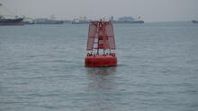 Labrador Park 25