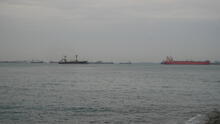 Labrador Park 39