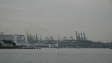 Labrador Park 41