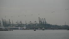 Labrador Park 47