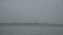 Labrador Park 61
