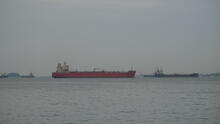 Labrador Park 64