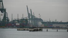 Labrador Park 66