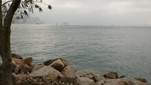 West Kowloon 33
