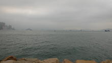 West Kowloon 54