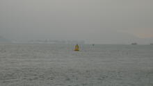 West Kowloon 55