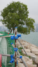 West Kowloon 63