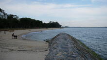 East Coast Park 11