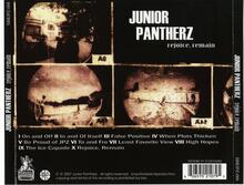 back cover.jpg