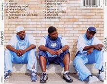 back cover.jpg