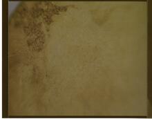 inside back cover.jpg