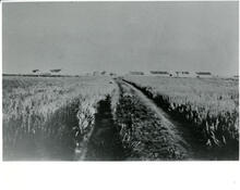 Hospital Surgeon's Residence, Fort Battleford