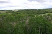 Batoche Building and Site from Crane (15)