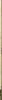 saskmusic-5688-0.jpeg