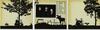 saskmusic-7101-0.jpeg