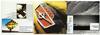 saskmusic-8973-0.jpeg