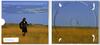 saskmusic-9151-0.jpeg